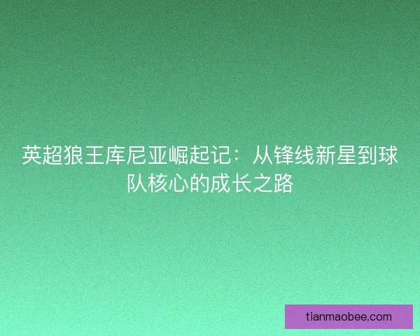 英超狼王库尼亚崛起记：从锋线新星到球队核心的成长之路
