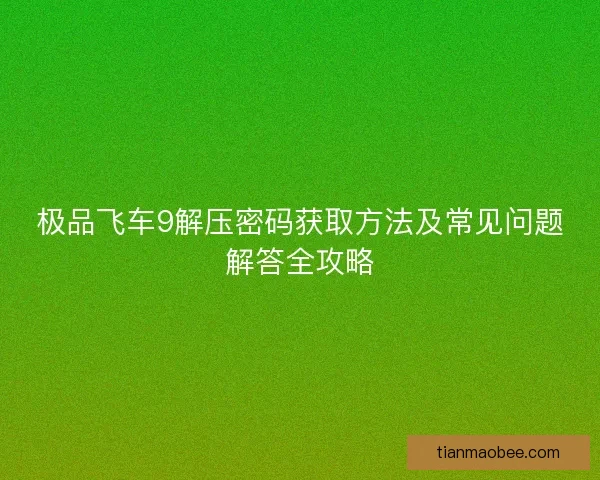 极品飞车9解压密码获取方法及常见问题解答全攻略