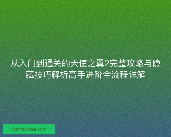 从入门到通关的天使之翼2完整攻略与隐藏技巧解析高手进阶全流程详解