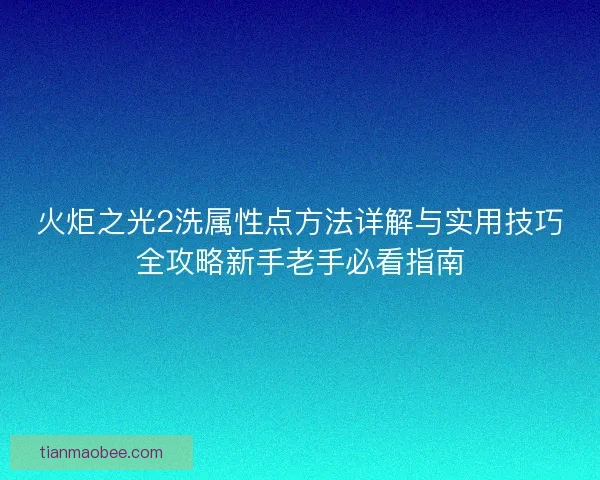 火炬之光2洗属性点方法详解与实用技巧全攻略新手老手必看指南
