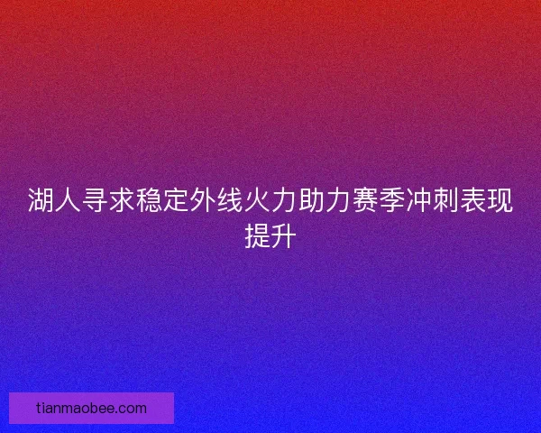 湖人寻求稳定外线火力助力赛季冲刺表现提升