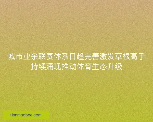 城市业余联赛体系日趋完善激发草根高手持续涌现推动体育生态升级