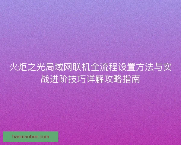 火炬之光局域网联机全流程设置方法与实战进阶技巧详解攻略指南